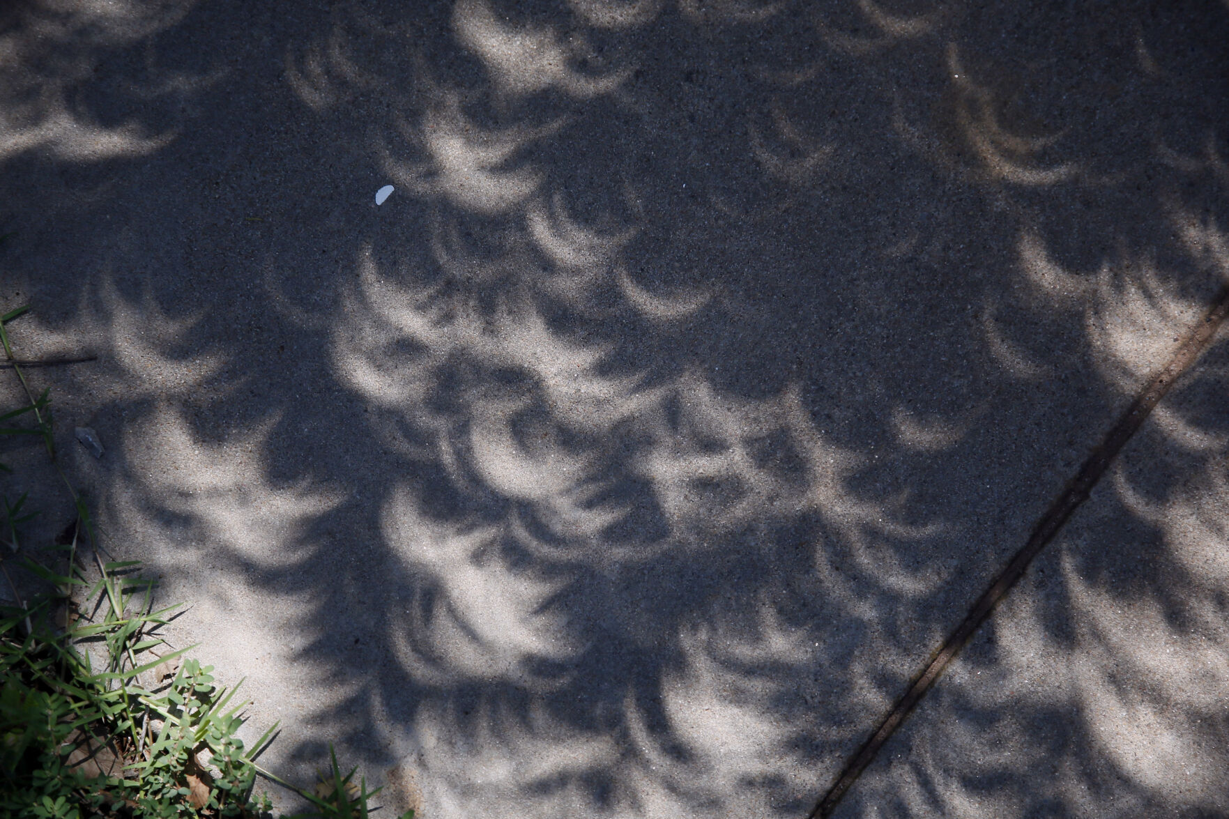 Total Solar Eclipse Photo Gallery